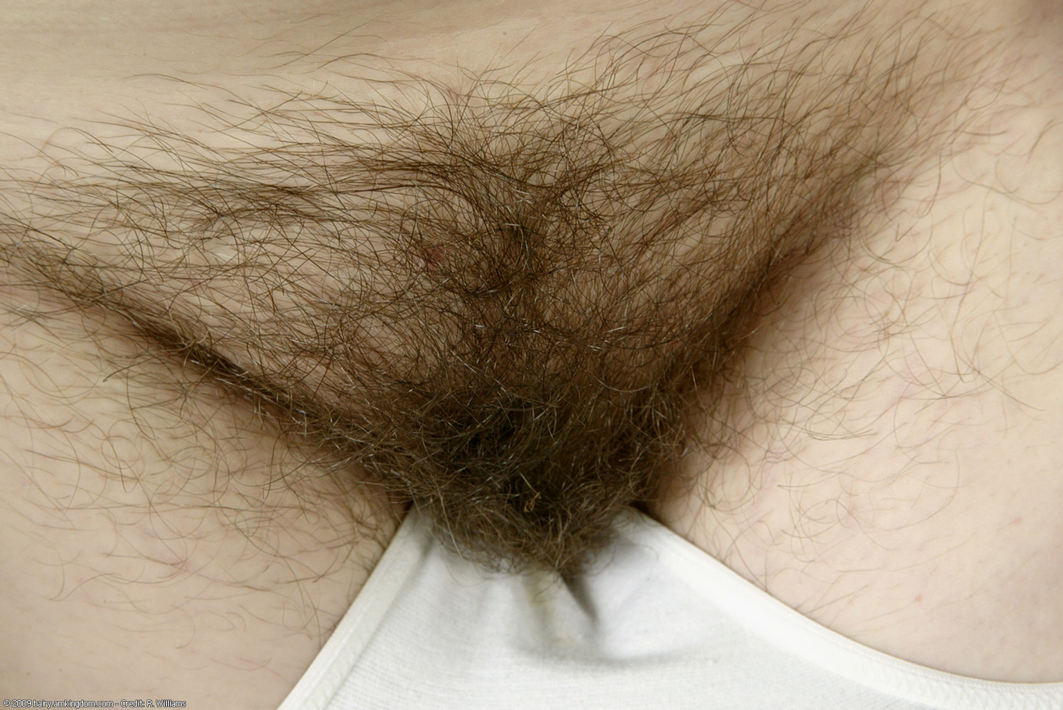 Jennifer Atk Natural Hairy « ATK Natural And Hairy « Free ATK Pictures @ Bravo ATK